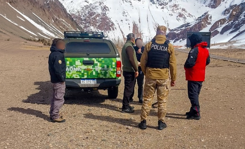 La Policía rescató a un guanaco herido tras un patrullaje en Alta Montaña
