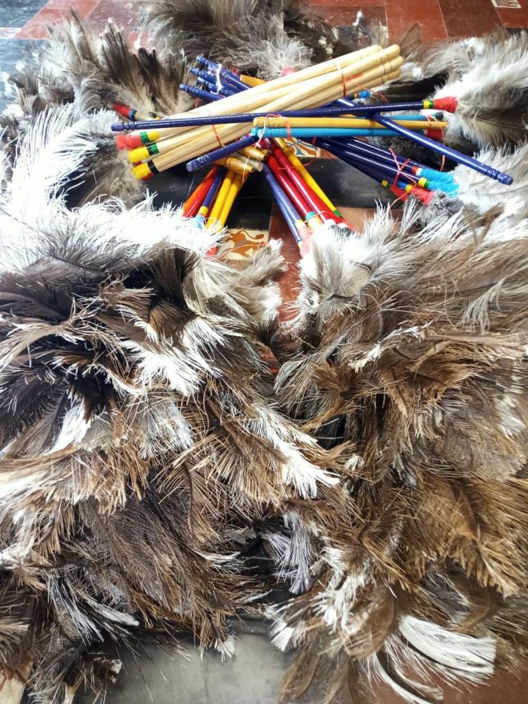 Golpe al tráfico de fauna silvestre: secuestran más de 50 plumeros con plumas de choique y ñandú en Maipú
