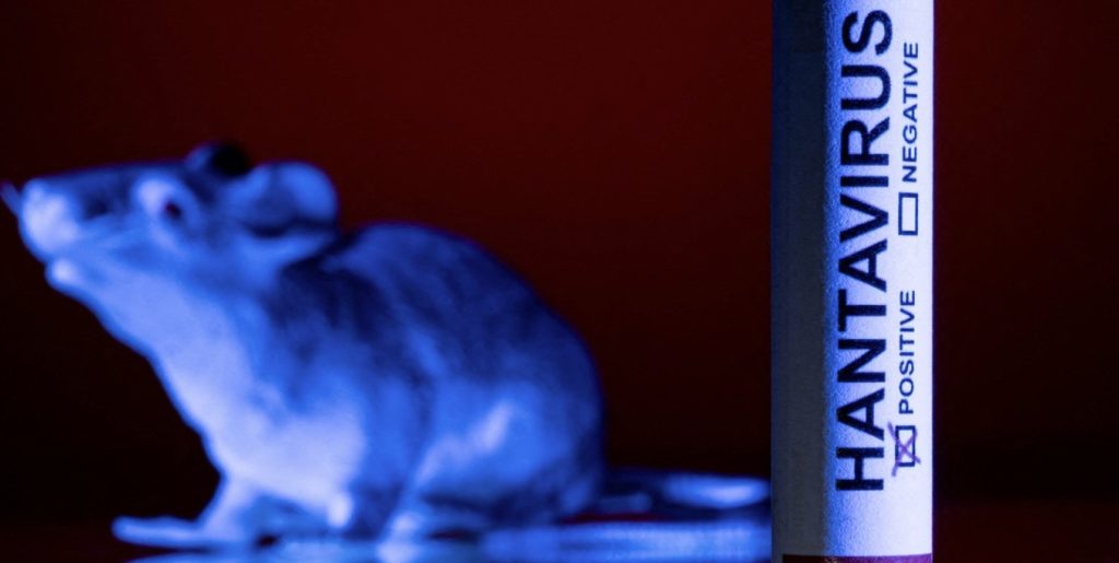 Francia confirmó un caso importado de hantavirus Andes en un turista franco-argentino