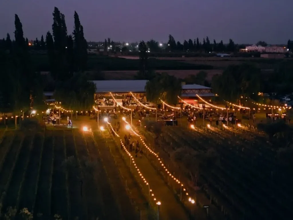 La Finquita – Edición Especial